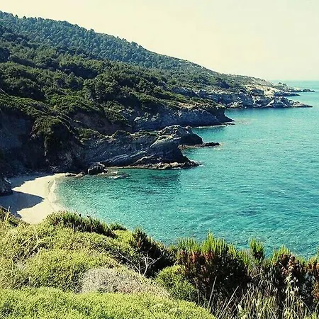 Aegean Retreat Villa, Skopelos * グロッサ