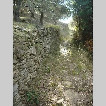 Aegean Retreat Villa, Skopelos ヴィラ *